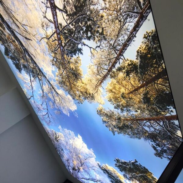 WhatsApp Image 2025-08-14 at 14.02.31 (1)