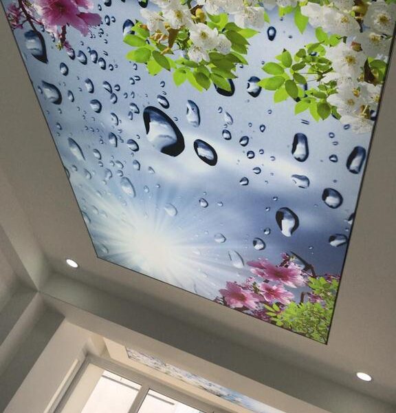 WhatsApp Image 2025-08-14 at 14.02.31 (2)