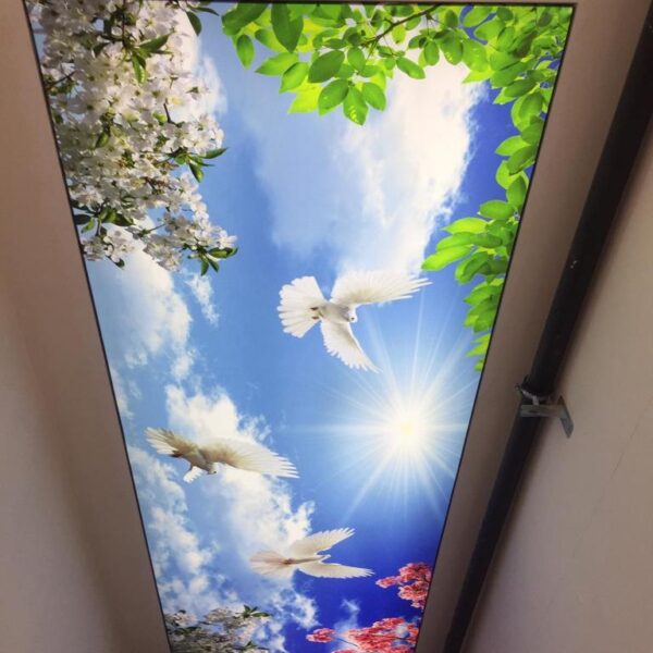 WhatsApp Image 2025-08-14 at 14.02.31 (3)