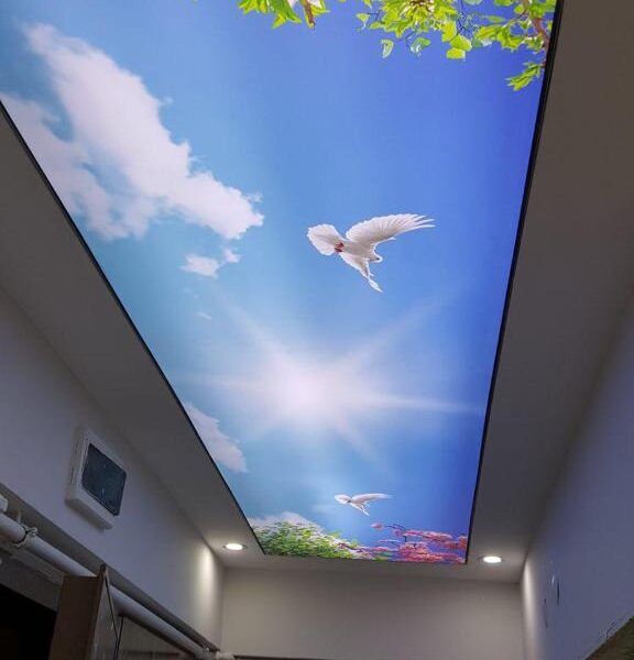 WhatsApp Image 2025-08-14 at 14.02.31 (4)